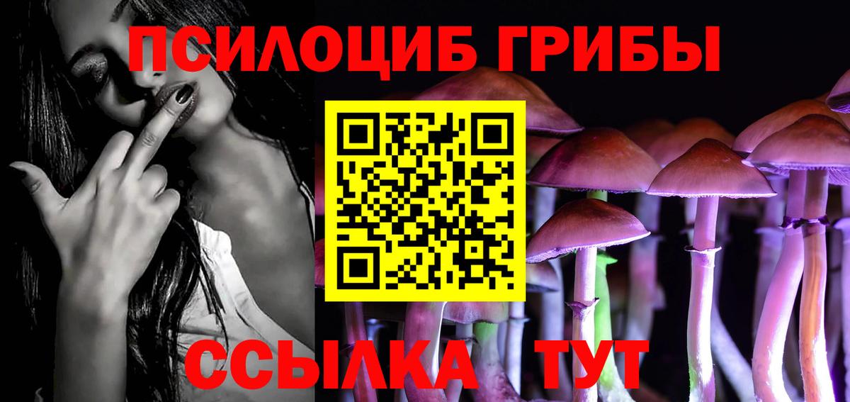Псилоцибиновые грибы Cubensis  Вход с VPN  Белгород 