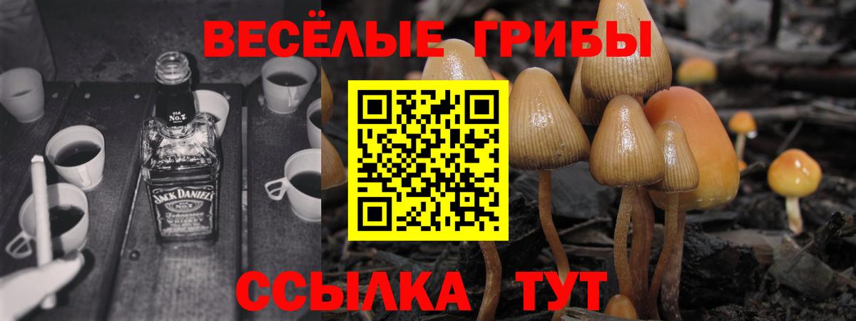 Псилоцибиновые грибы MAGIC MUSHROOMS Белгород