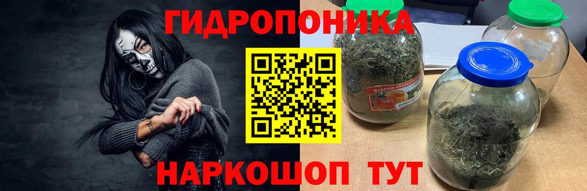 МАРИХУАНА SATIVA & INDICA  Бошки Шишки индика  Белгород  Вход с VPN  Шишки марихуана гибрид  Шишки марихуана индика 